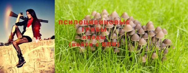 таблы Бронницы