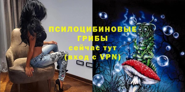 кокс Сосновый Бор