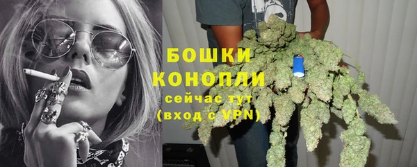 прущие крисы Бородино