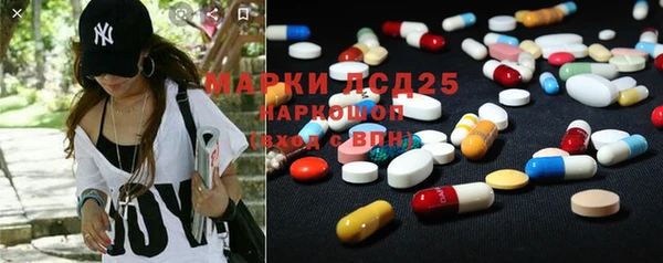 прущие крисы Бородино