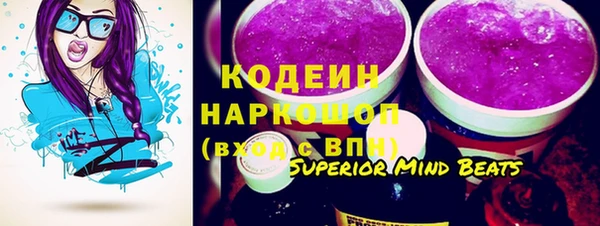 прущие крисы Бородино