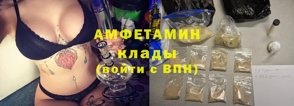 прущие крисы Бородино