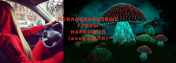 прущие крисы Бородино